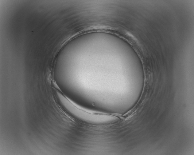 X0000073831361200609071504