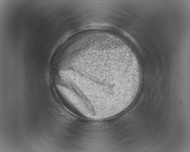 X0000073831362200609071504