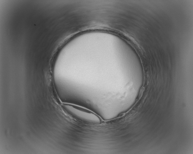 X0000073831363200609071504