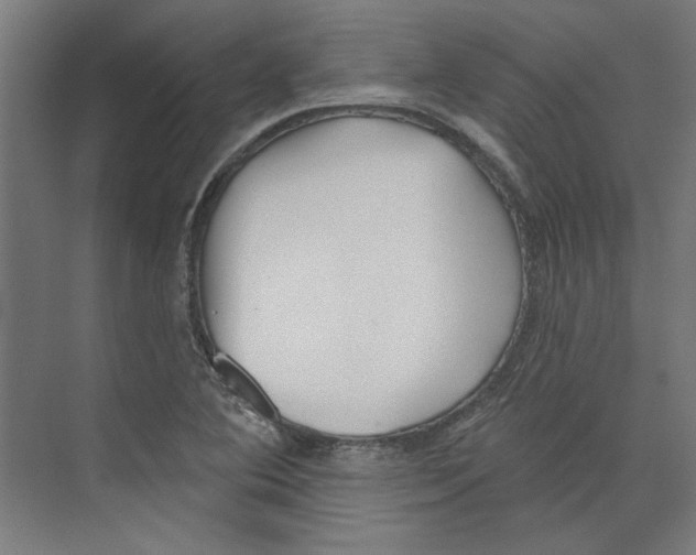 X0000073831364200609071504