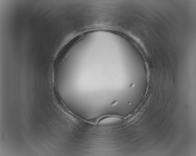 X0000073831365200609071504