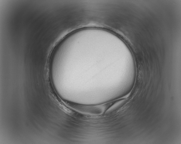 X0000073831367200609071504