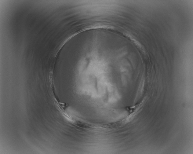 X0000073831369200609071504