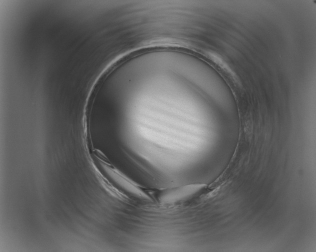 X0000073831372200609071504