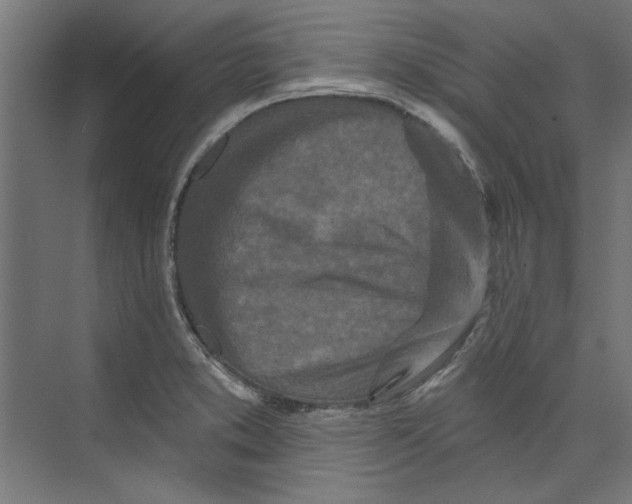 X0000073831373200609071504