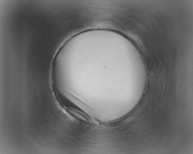 X0000073831374200609071504