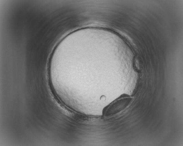 X0000073831375200609071504