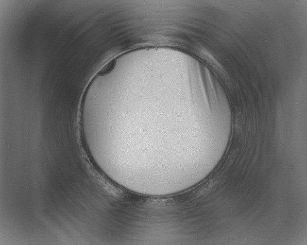 X0000073831378200609071504