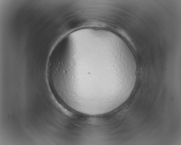 X0000073831379200609071504