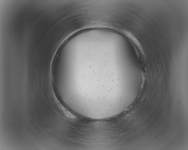 X0000073831380200609071503