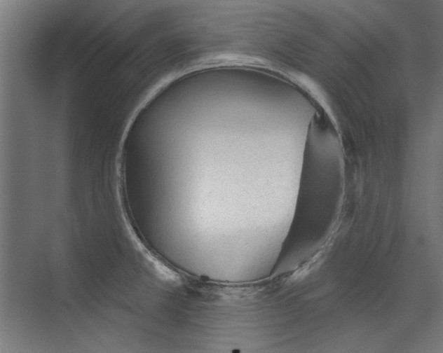 X0000073831381200609071503