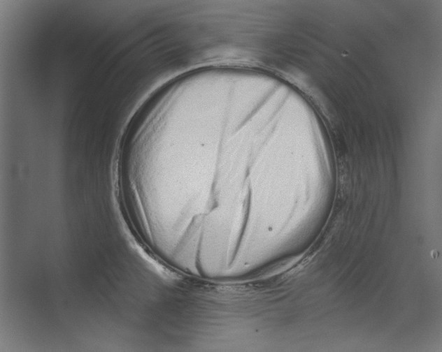 X0000073831383200609071503