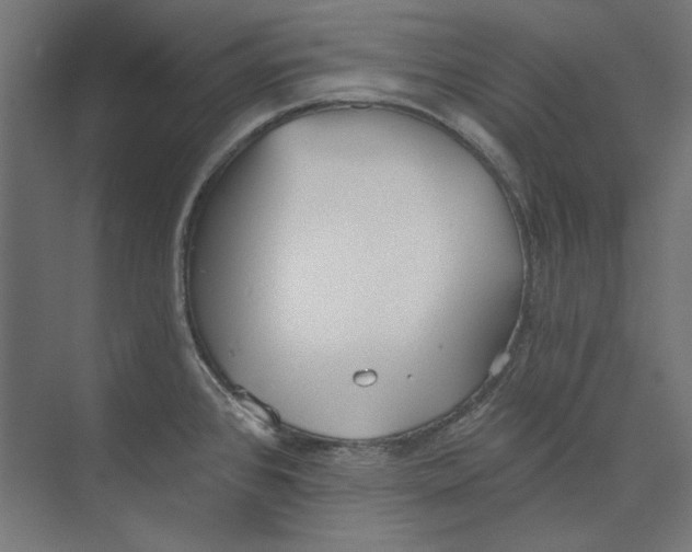 X0000073831384200609071503