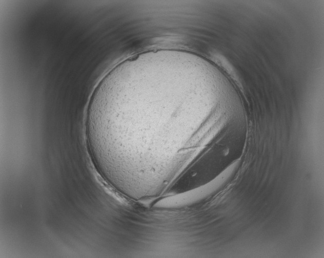 X0000073831386200609071503