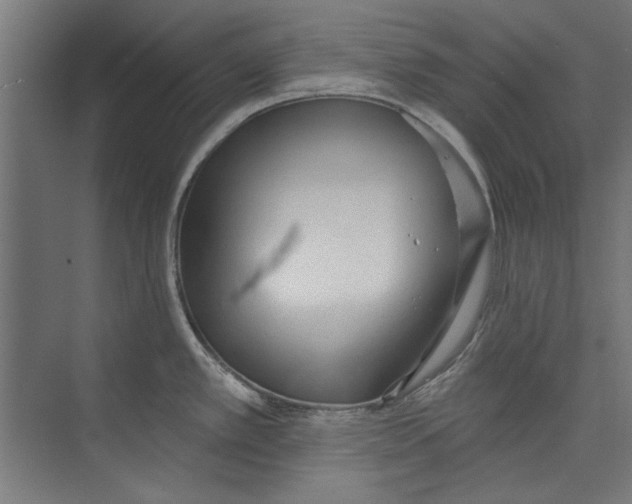 X0000073831389200609071503