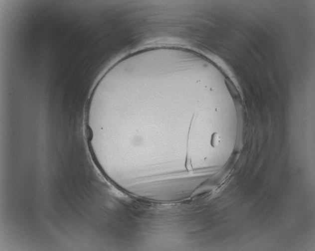 X0000073831390200609071503