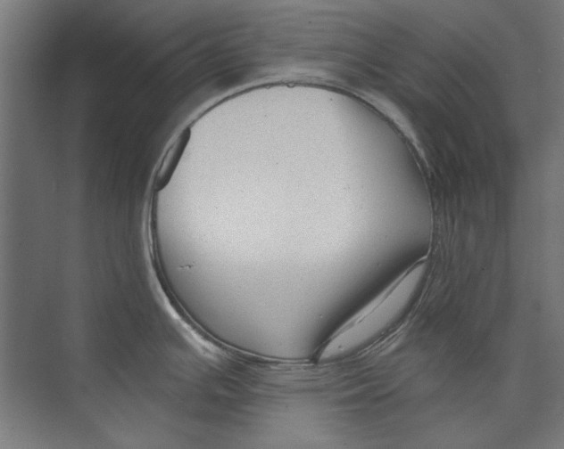 X0000073831391200609071503