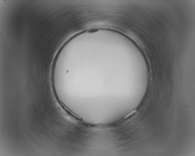 X0000073831392200609071503