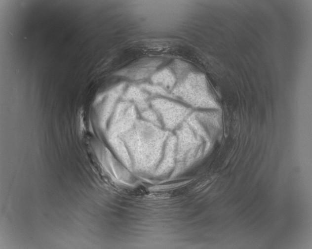 X0000073831394200609071502