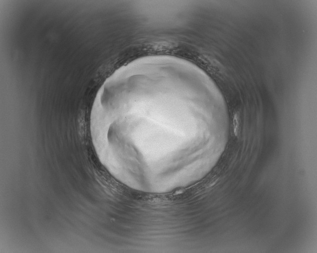 X0000073831395200609071503