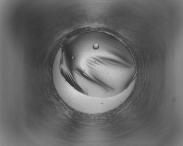 X0000073831398200609071503