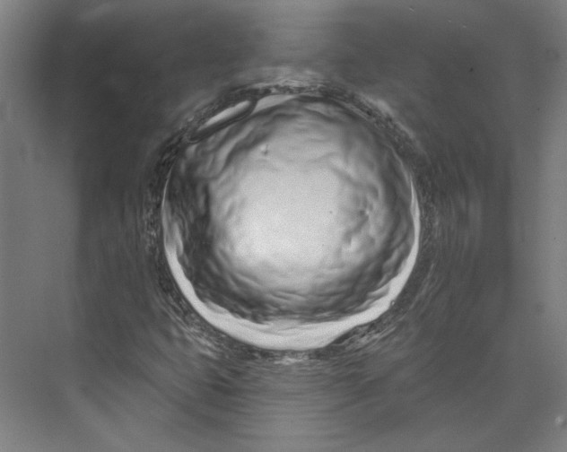 X0000073831399200609071503