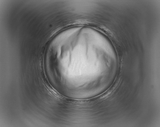 X0000073831401200609071503