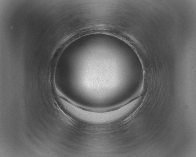 X0000073831402200609071503