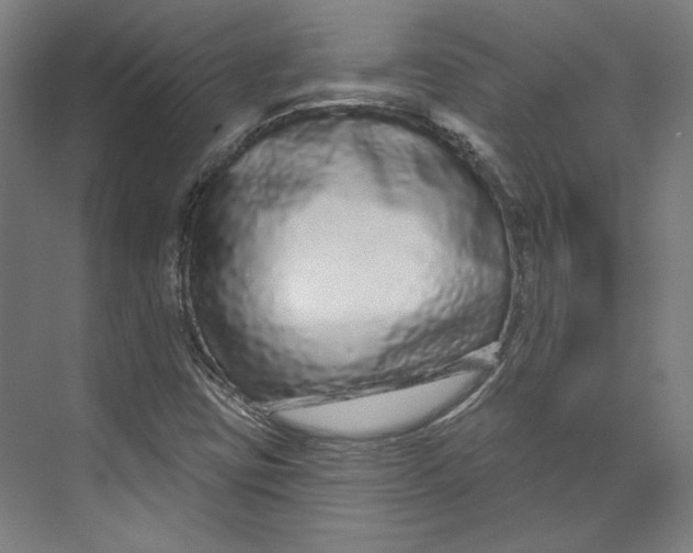 X0000073831403200609071503