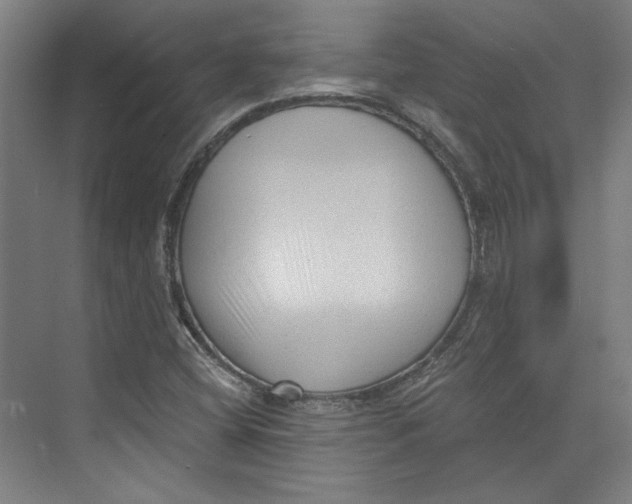 X0000073831404200609071503