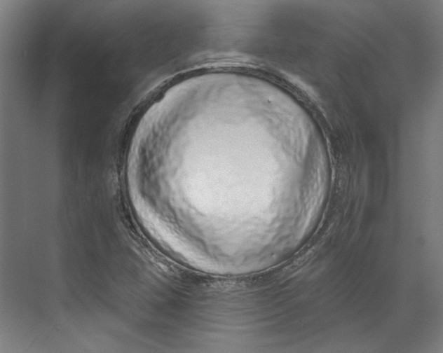 X0000073831407200609071503