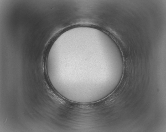 X0000073831408200609071503