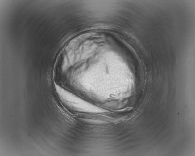 X0000073831409200609071503