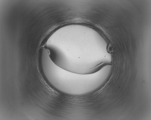 X0000073831410200609071503