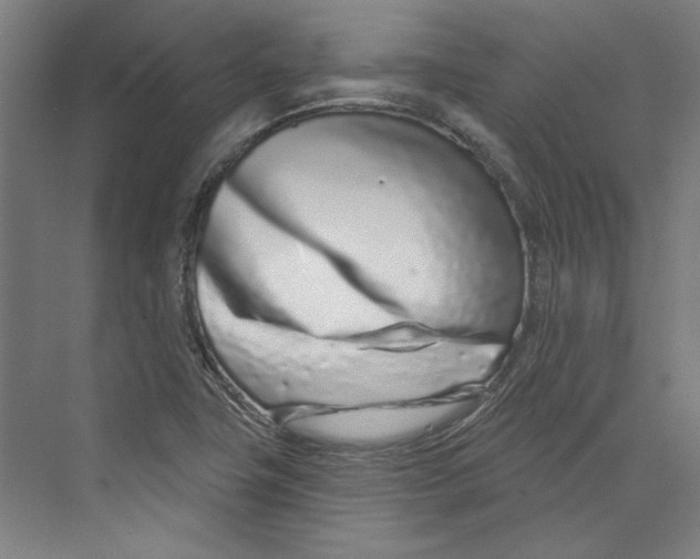 X0000073831411200609071503