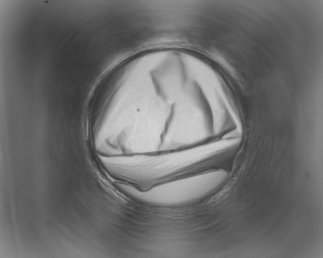 X0000073831413200609071503