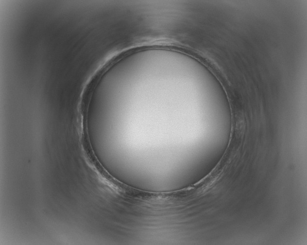 X0000073831414200609071503