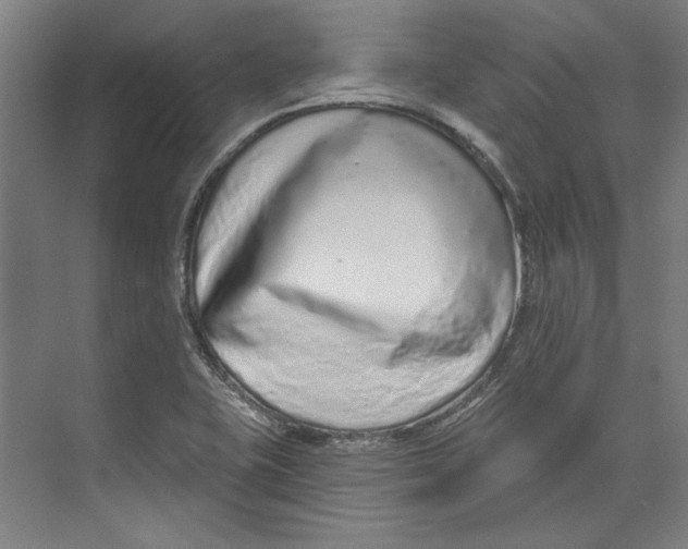 X0000073831415200609071503