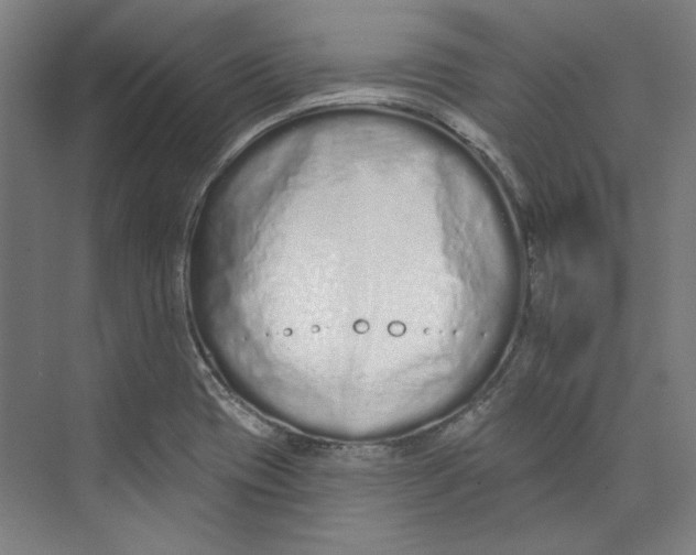 X0000073831417200609071503