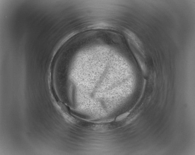 X0000073831418200609071503