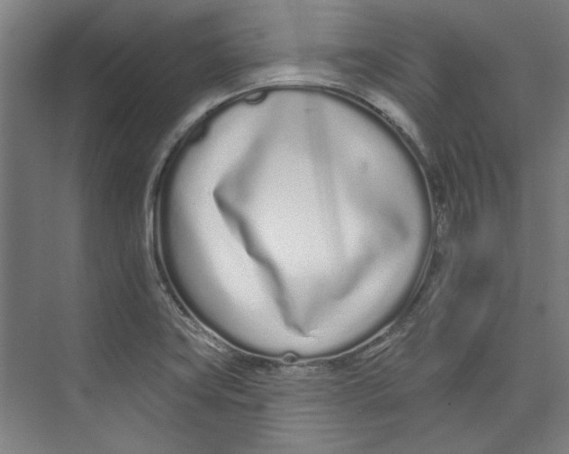 X0000073831419200609071503