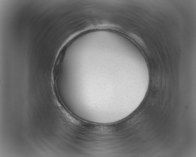 X0000073831420200609071503