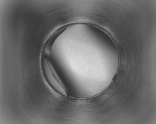 X0000073831422200609071503