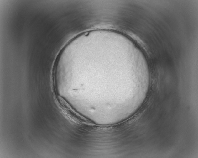 X0000073831423200609071503