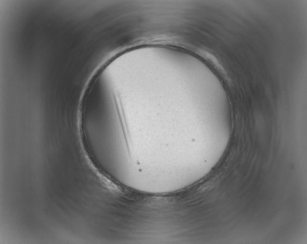 X0000073831424200609071503