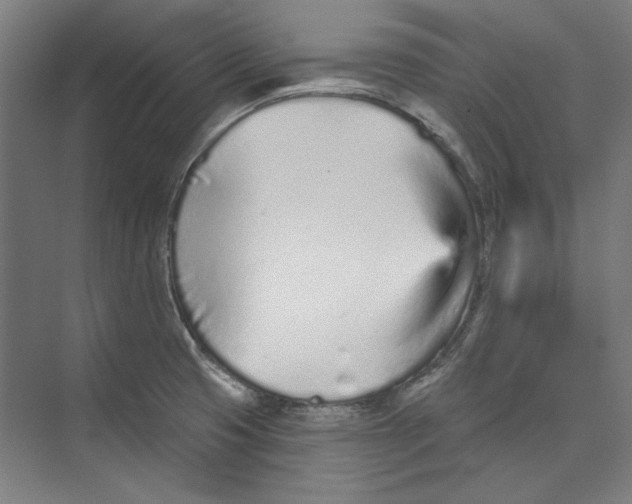 X0000073831425200609071503