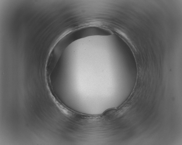 X0000073831426200609071503