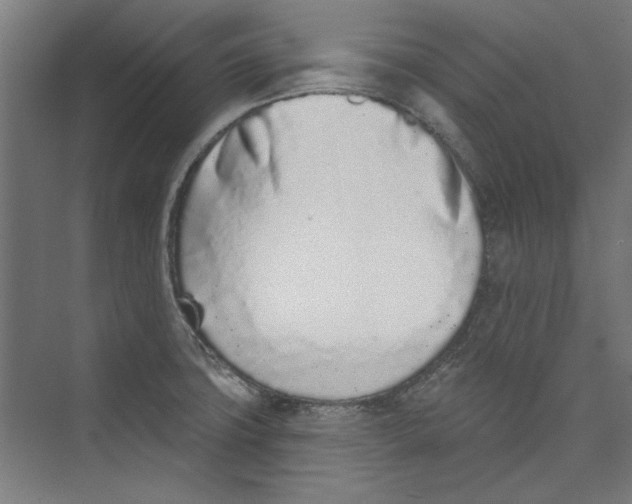 X0000073831427200609071503