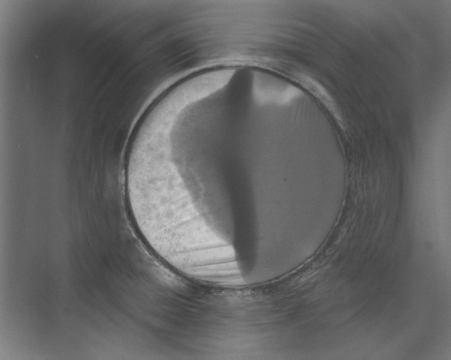 X0000073831428200609071503