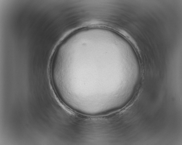 X0000073831429200609071503